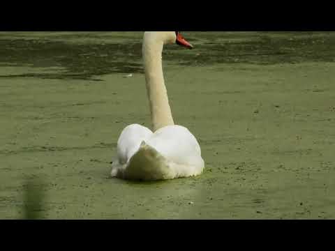 Видео: 7 жовтня 2025 р.