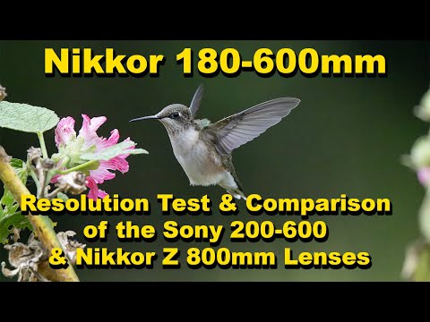 Видео: Тест разрешения Nikkor Z 180-600 и сравнение объективов Sony 200-600 и Nikon Z 800 мм