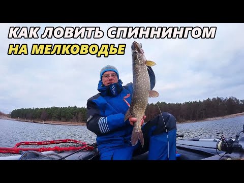 Видео: Советы по ловле спиннингом на мелководье