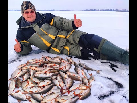 Видео: Очумелая Плотва. 🐟🐟🐟 Рыбалка на Водохранилище. Ловля Плотвы.