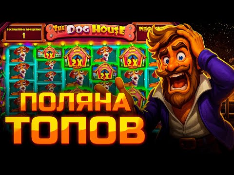 Видео: СЛОВИЛ ПОЛЯНУ ТОПОВ В ДОРОГОЙ БОНУСКЕ В THE DOG HOUSE MEGAWAYS!!! ОГРОМНЫЙ ОКУП / ЗАНОСЫ НЕДЕЛИ