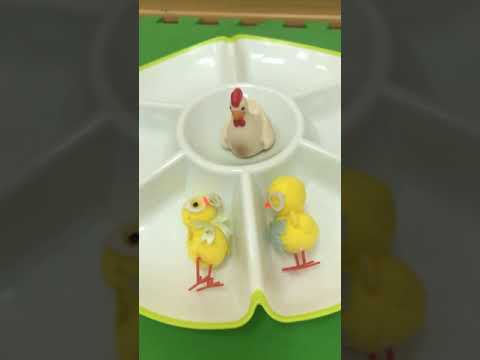 Видео: Структура одного занятия II для ребёнка с когнитивными нарушениями