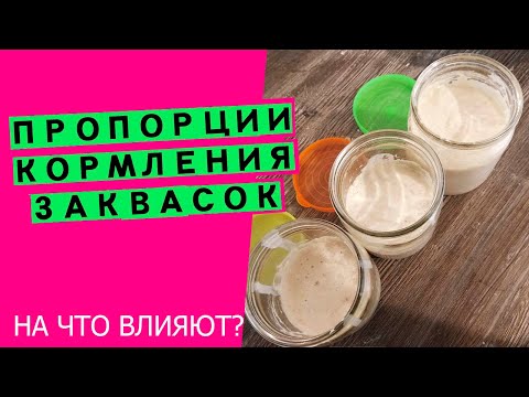 Видео: Пропорции кормления пшеничных заквасок: на что влияют, как рассчитать {КАК УПРАВЛЯТЬ ЗАКВАСКАМИ?}