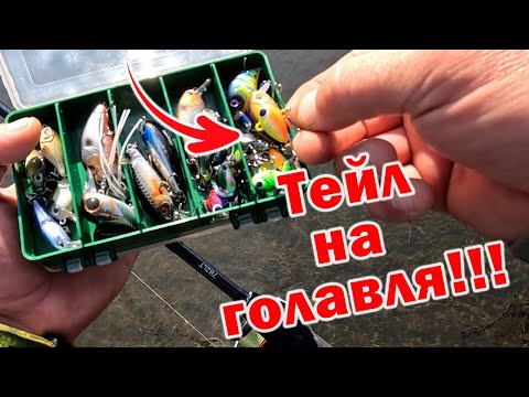 Видео: Я ДАЖЕ И НЕ ДУМАЛ, ЧТО ОНА МОЖЕТ ТАКОЕ!!! МОЁ НОВОЕ ОТКРЫТИЕ ПРИ ЛОВЛЕ ГОЛАВЛЯ!!!