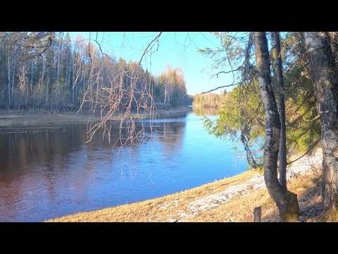 Видео: Сплав по рекам Подюга и Вель Ч2 Весна!