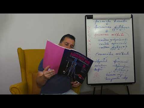 Видео: Урок №2. Тъкан.