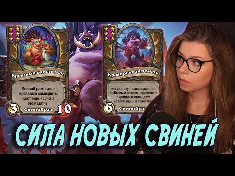 Видео: Новые свиньи - топ стратегия патча! | AloeKoala Hearthstone Battlegrounds