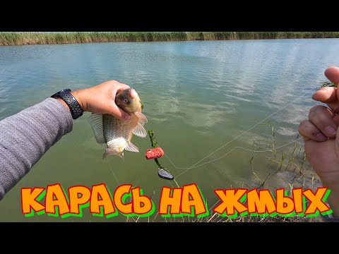 Видео: Карась НА ЖМЫХ Ловля на донки р Маныч