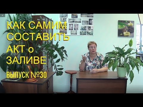 Видео: 5 акцентов на что обратить внимание, если УК перекладывает составление Акта о заливе на жильцов