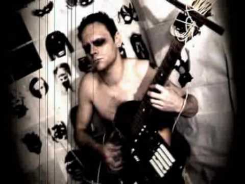 Видео: Шмели  Мельпомена