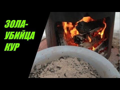 Видео: ДРЕВЕСНЫЙ УГОЛЬ!!! УБЬЁТ ВАШИХ КУР!!!