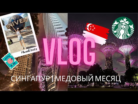Видео: VLOG | Медовый месяц в Сингапуре | SENTOSA | MARINA BAY | Самый большой океанариум в мире!