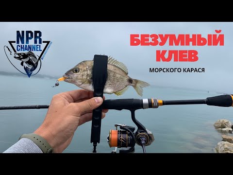 Видео: Безумный клев Морского карася (ласкирь) Эта приманка сделала эту рыбалку !!