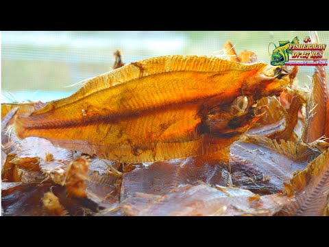 Видео: Вяленая камбала по-Китайски, знаменитая FISH in BEER! 啤酒裡的魚