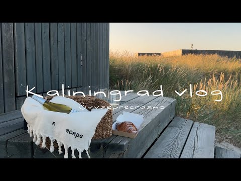 Видео: Калининград | Нордик, Куршская коса, кофе и Барахольщик