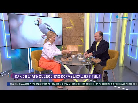 Видео: Как сделать съедобную кормушку для птиц