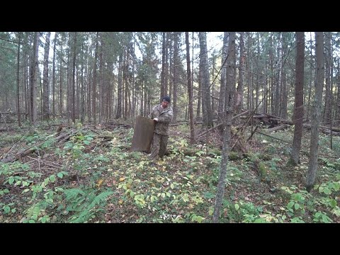 Видео: Мутим деньги на металле