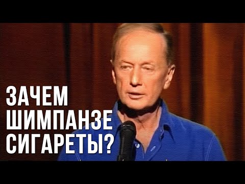 Видео: Михаил Задорнов «Зачем шимпанзе сигареты?»