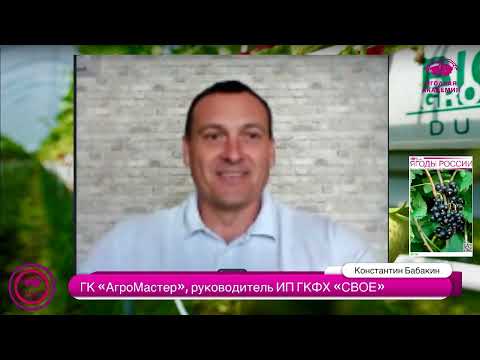 Видео: Удобрения для фертигации. Успешные кейсы работы проектов полива и питания в ягодной отрасли