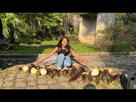 Видео: Экспо Индия — это страна.