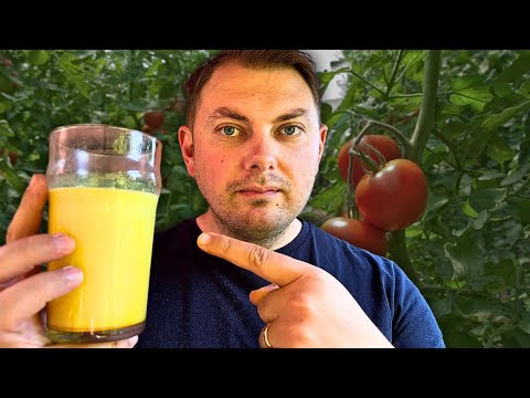 Видео: Не выбрасывайте больные растения! 🧡 Я их спас простым домашним средством!