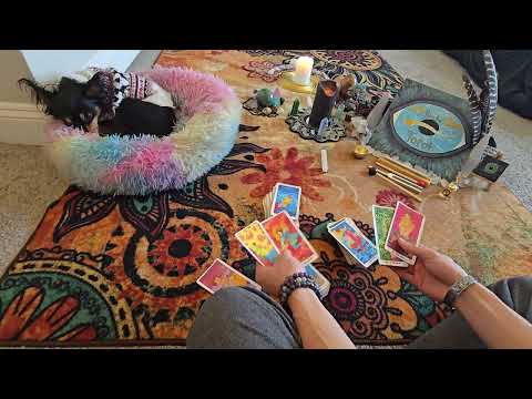 Видео: Вы всего этого заслуживаете.