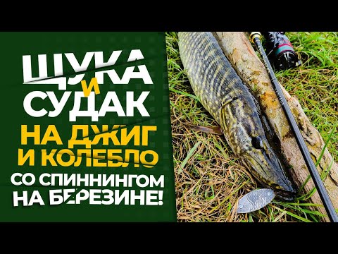 Видео: Ловля спиннингом на реке Березина