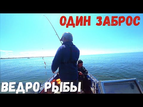 Видео: ОДИН ЗАБРОС И 10 РЫБ!!! ПОЛЧАСА И ПОЛНОЕ ВЕДРО!!! ВОТ ЭТО РЫБАЛКА