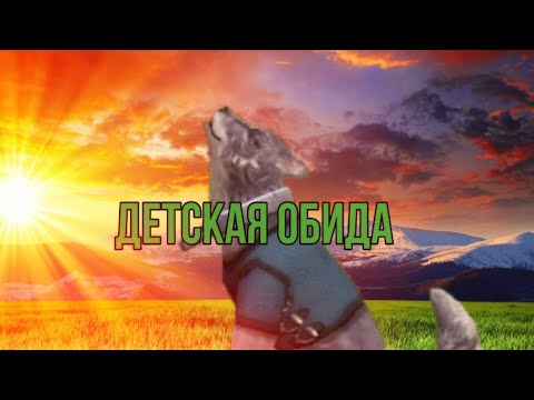 Видео: Клип "Wild Craft" *ДЕТСКАЯ ОБИДА*🐺