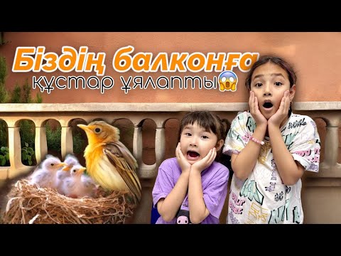 Видео: АПТАЛЫҚ ҚЫЗЫҚТАР🎥 БАЛКОНДА ҚАНДАЙ ҚҰС?! ГОЛОВОЛОМКА 2 БАРДЫҚ🎞️