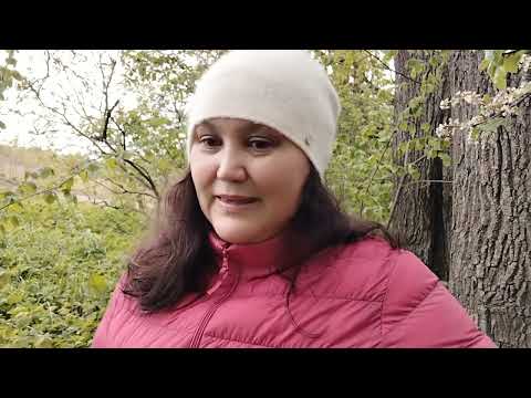 Видео: Дневник Шестого периода Ба Цзы (2)