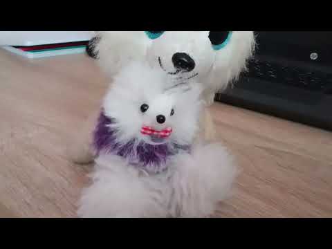 Видео: 13 ноября 2025 г.