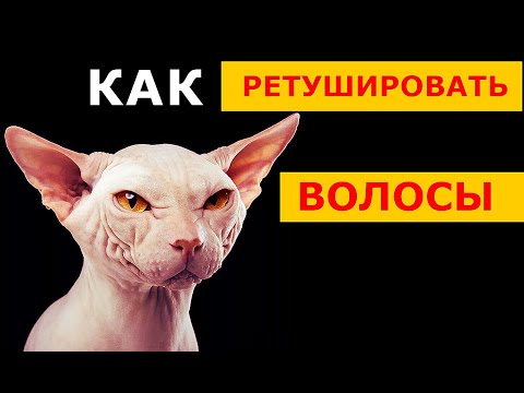 Видео: Как РЕТУШИРОВАТЬ ВОЛОСЫ в фотошопе. Фото на памятник