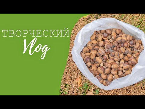 Видео: VLOG - Где беру? Как сушу? Немного мест с материалами для работы / БРЕСТ / TSVORIC