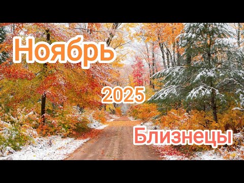 Видео: БЛИЗНЕЦЫ ♊ НОЯБРЬ 2025🍁 Тароскоп 🍁