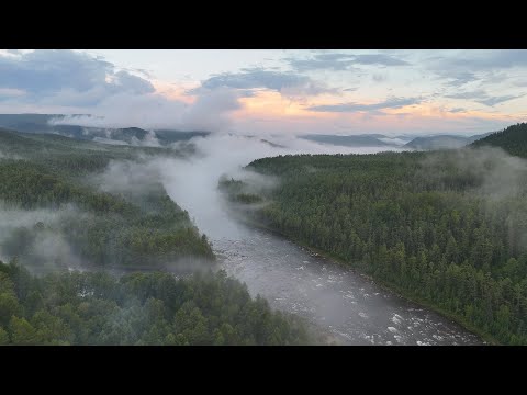 Видео: КУЧА РЫБЫ на ГОРНОЙ РЕКЕ. ХАРИУС и ЛЕНОК на КАЖДОМ ЗАБРОСЕ