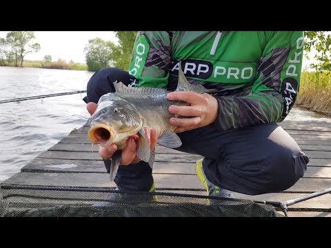 Видео: Рыбалка озеро Вовкове часть 1