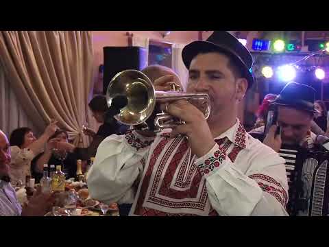 Видео: Cea mai Frumoasa Muzica de Petrecere ! Muzicanti la nunta - 068274655. Музыканты на свадьбу!