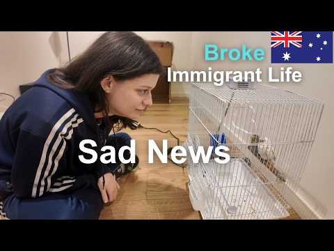 Видео: Печальные новости | Английский язык — это сложно | Рынок | Жизнь в Австралии | Иммигранты