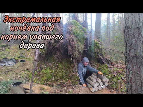 Видео: Выжить в лесу| Переночевать под корнем упавшего дерева |Bushcraft |Бушкрафт