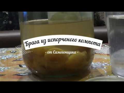 Видео: Брага из компота