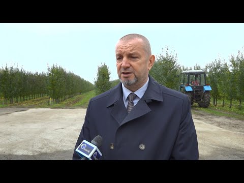 Видео: Профсоюзы. Итоги рейдовой группы