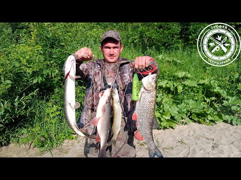 Видео: ПОЙМАЛ ОГРОМНУЮ РЫБУ, ЕЙ БОЛЕЕ 20 ЛЕТ !Трофей взят ! Рыбалка сплавом по реке 2023