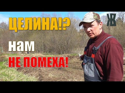 Видео: Природное земледелие. Как легко обработать целину.  Компостирование. Форель на углях. Рецепт от ЖКВ