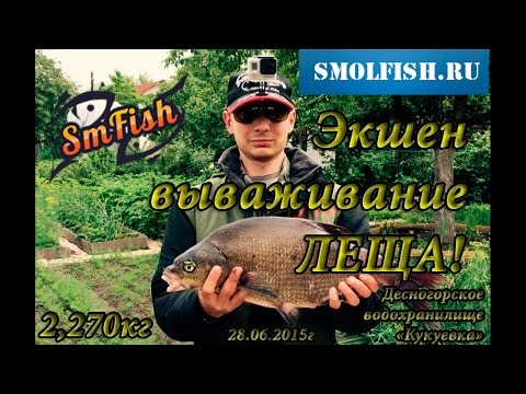 Видео: Вываживание Леща 2,270кг. на фидер на Десногорском водохранилище.