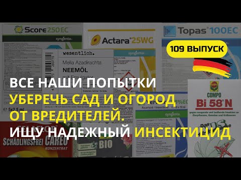 Видео: Дача в Германии.  Урожай будет наш! Боремся с вредителями всеми доступными средствами!