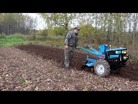 Видео: Тяжелый дизельный мотоблок Prorab GT100RDKe. Работа с фрезой.