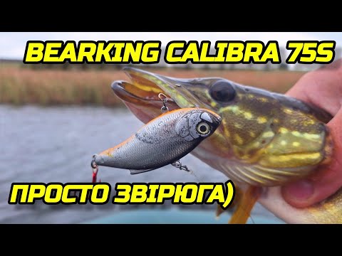 Видео: ✅️УЛОВИСТИЙ РАТЛІН, BEARKING CALIBRA 75S☝️