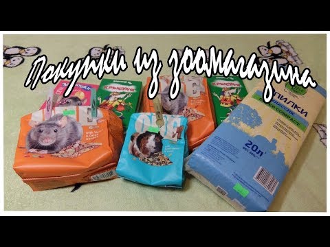 Видео: ★ ПОКУПКИ ИЗ ЗООМАГАЗИНА | DASHA ALEKCEEVA ★
