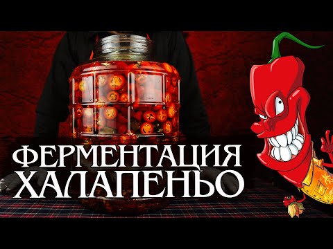 Видео: Ферментированный соус из перца Халапеньо. Пальчики оближешь!